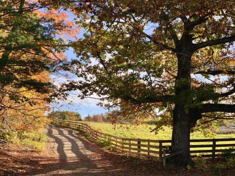 51 Flaggy Meadow Road Gorham ME 04038