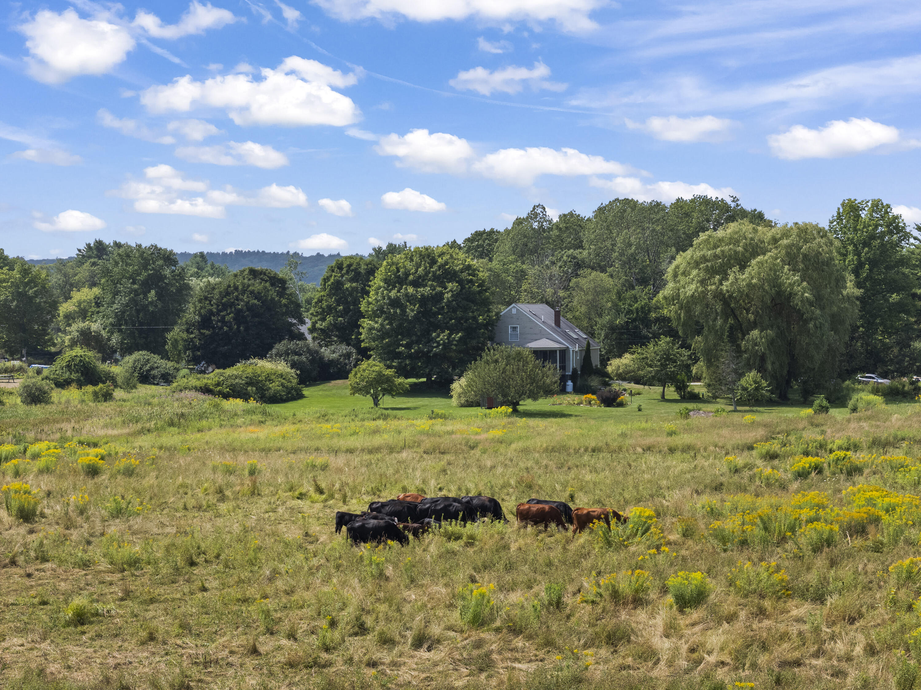 159 Dock Road Alna ME 04535