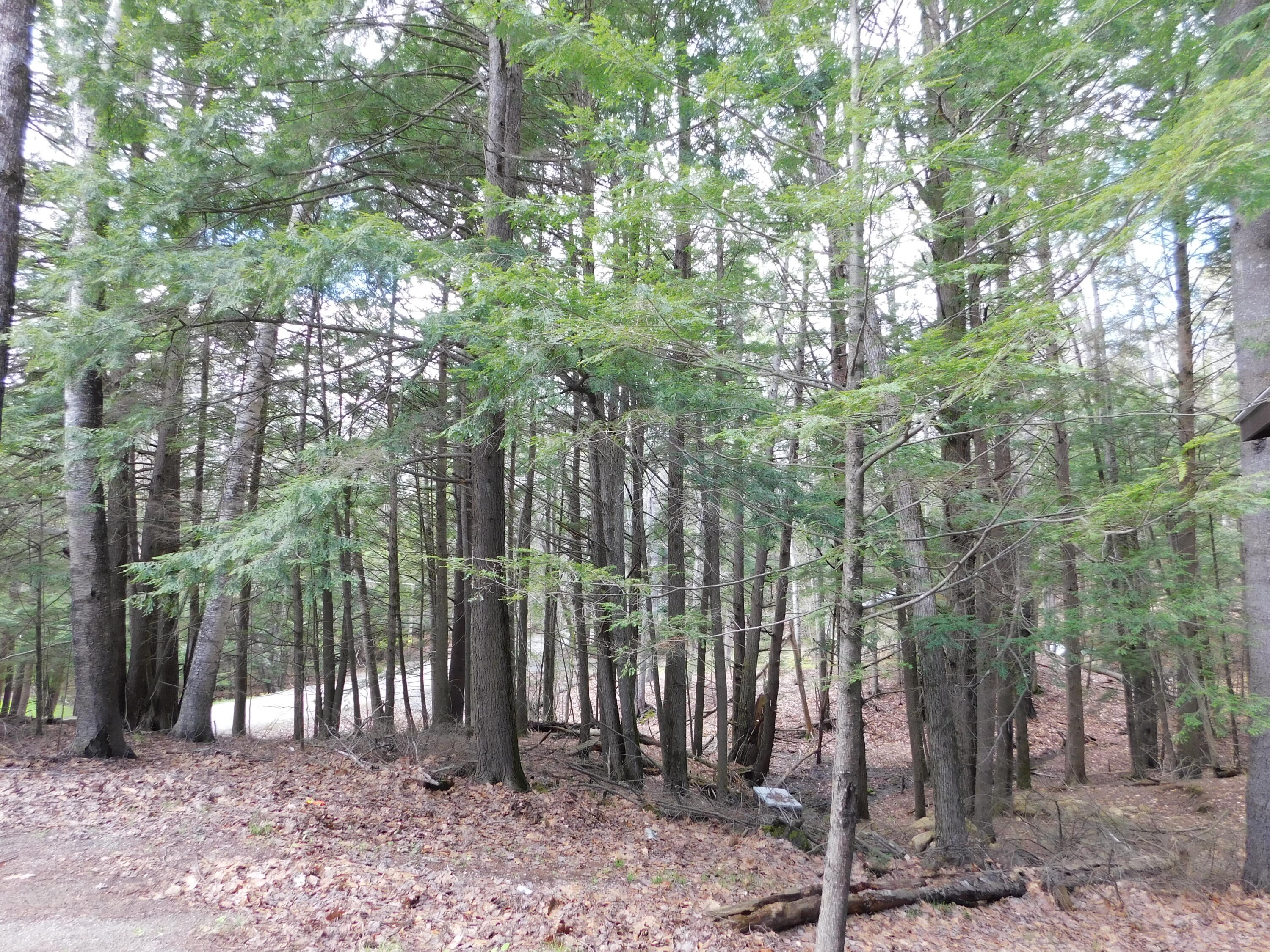 37 Torsey Shores Road Readfield ME 04355