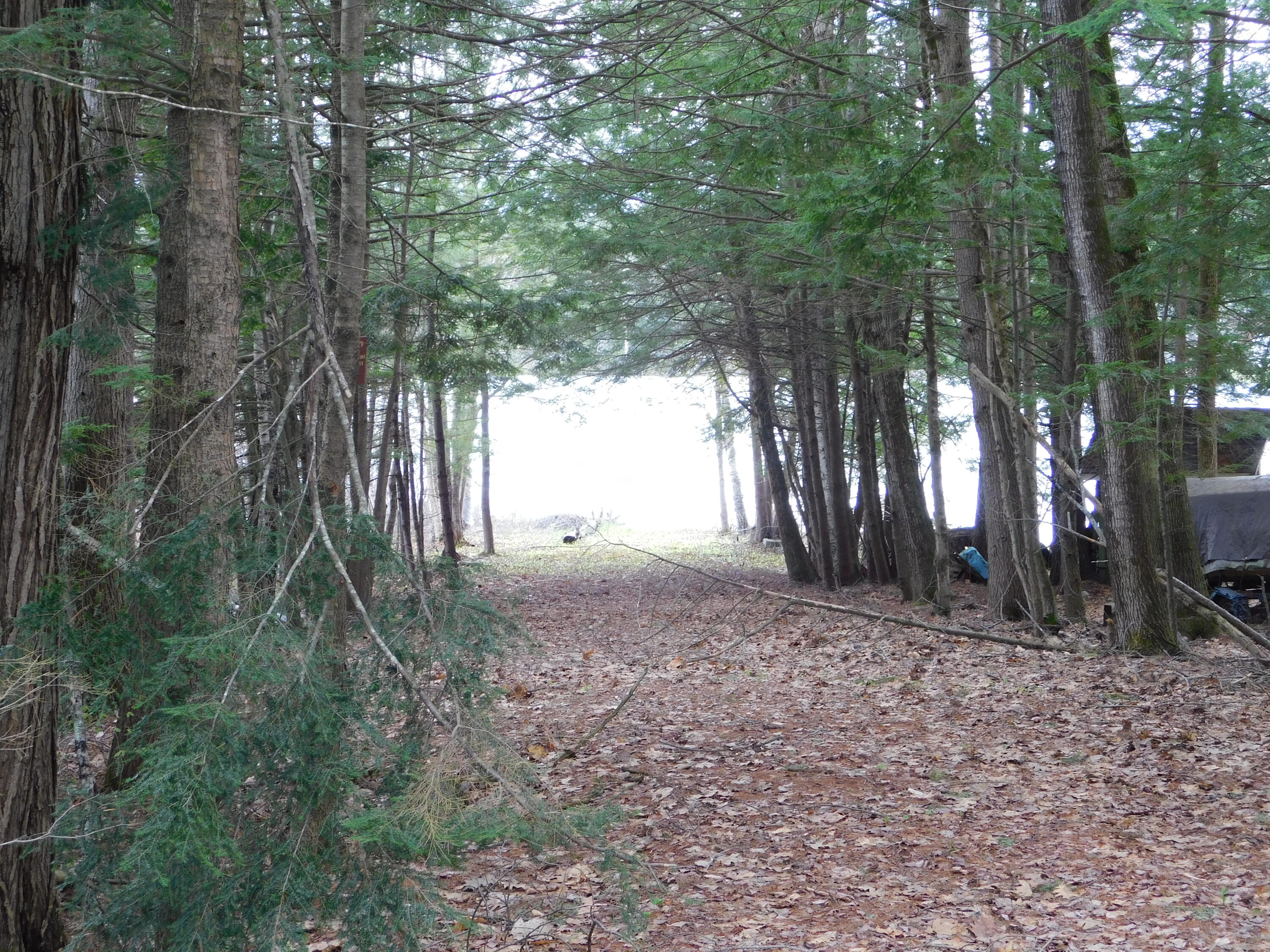 37 Torsey Shores Road Readfield ME 04355