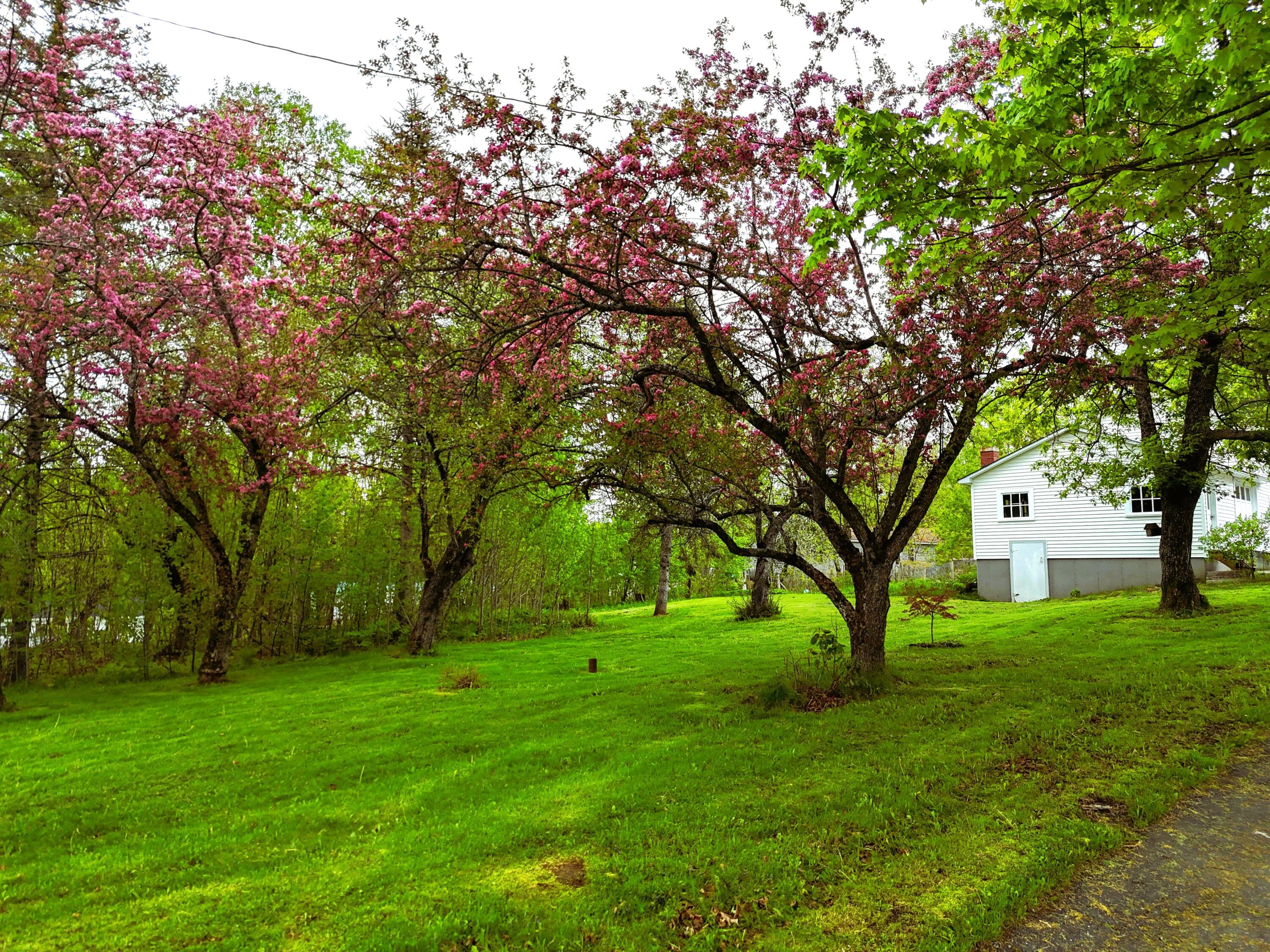 90 W Main Street Milo ME 04463