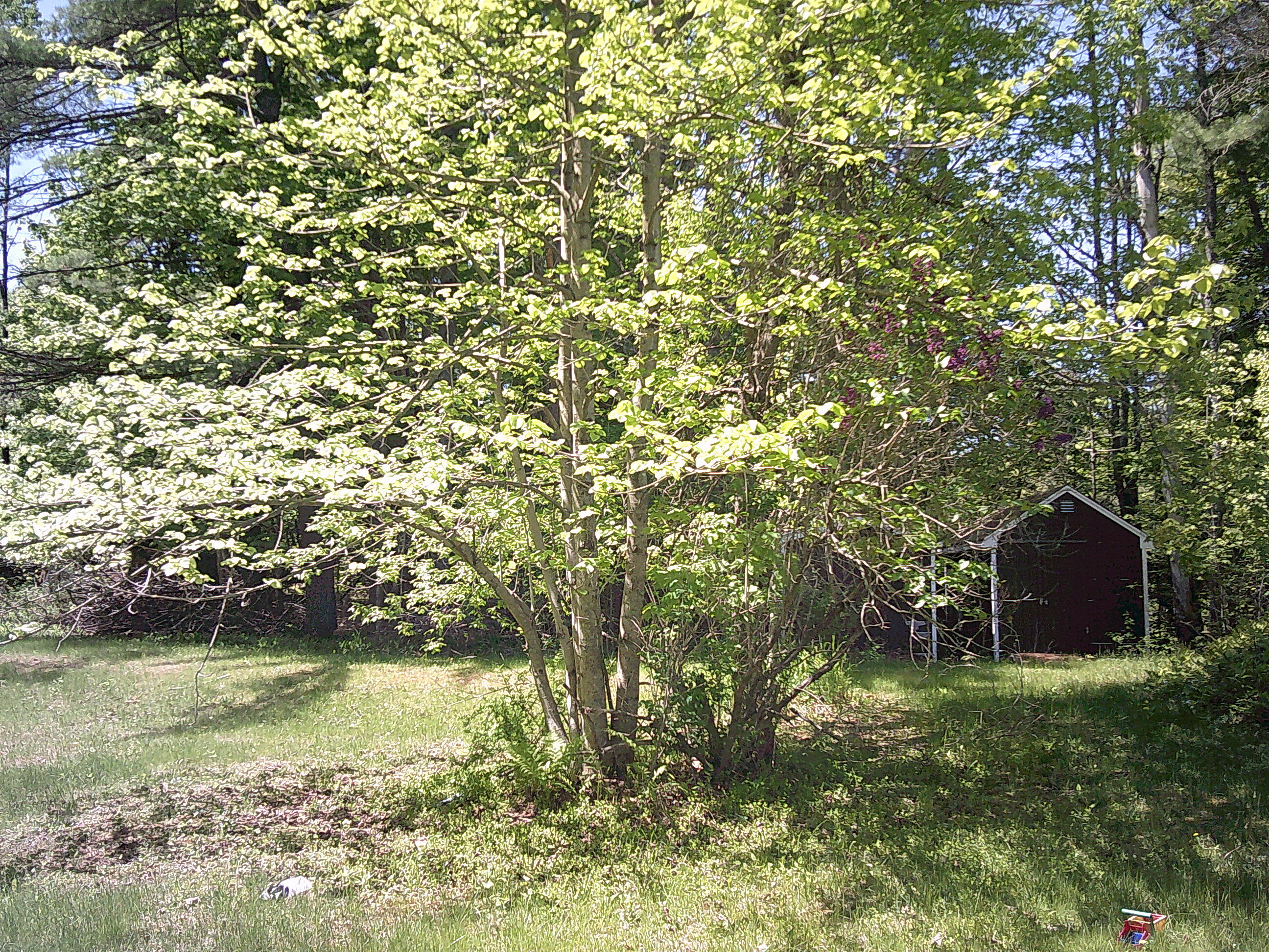 79 Buckfield Road Paris ME 04281