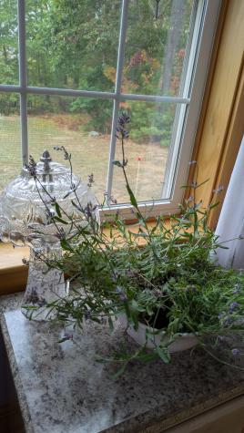 15 Promised Land Drive Brownfield ME 04010