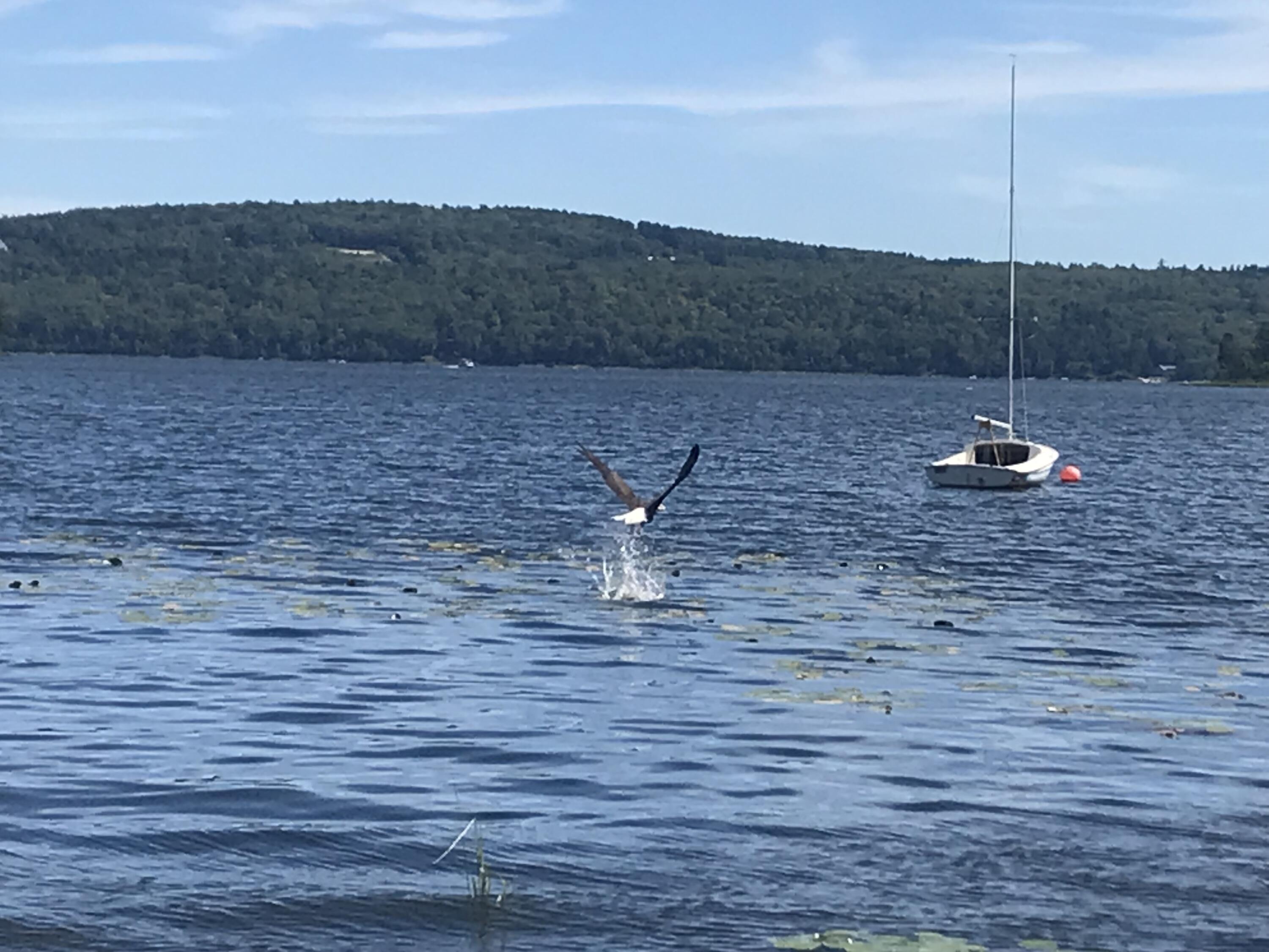 34 Androscoggin Loop Leeds ME 04263