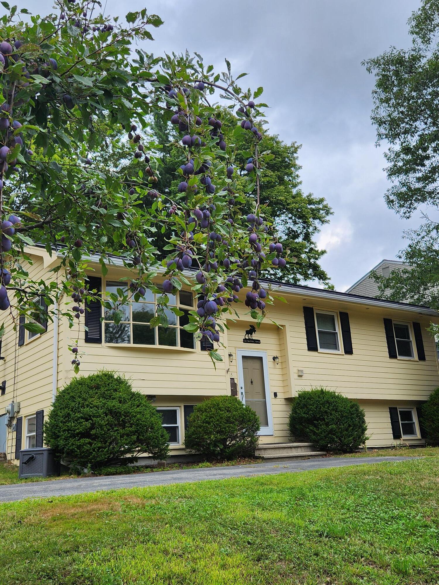 105 Windsor Avenue Augusta ME 04330