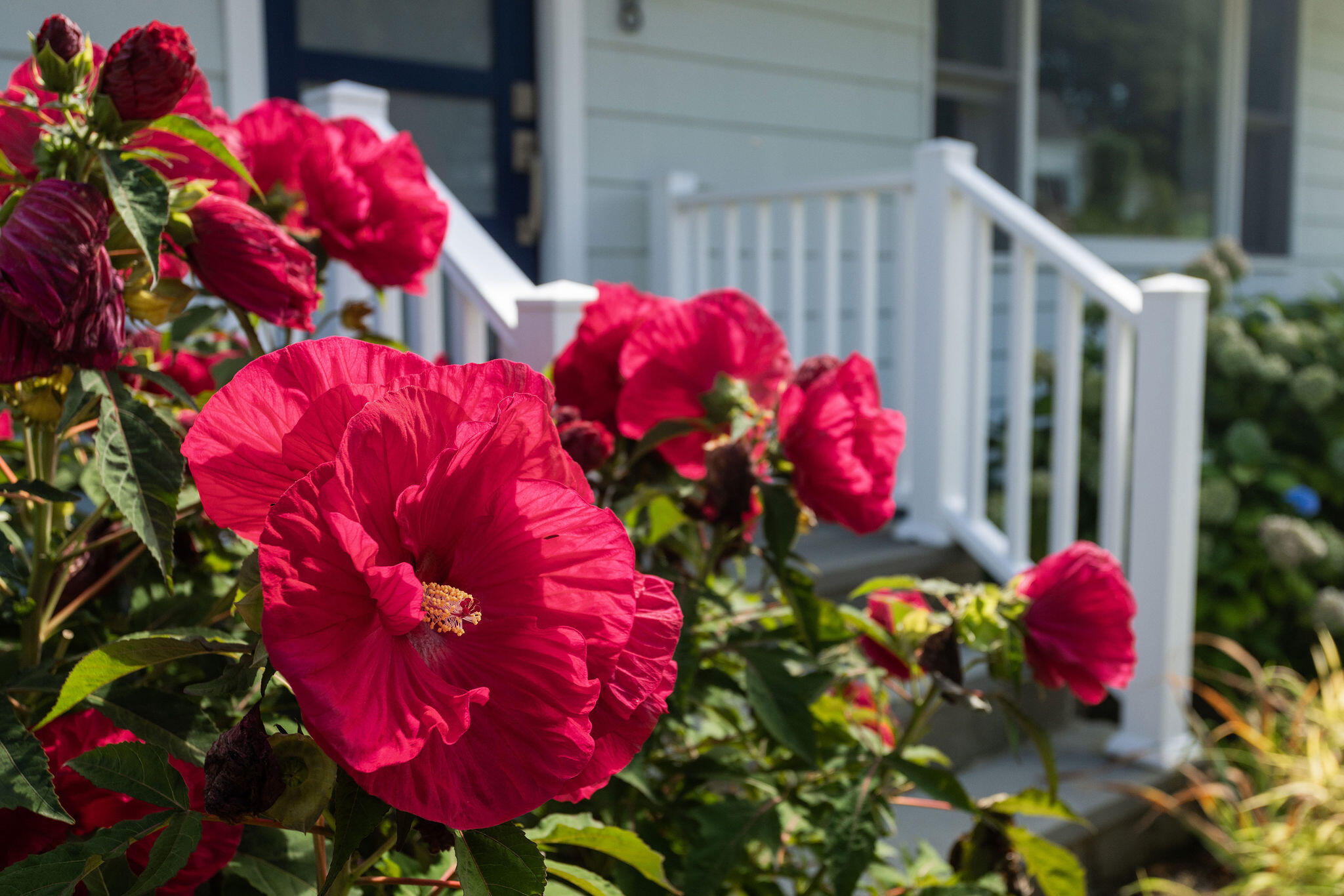 8 Wavecrest Drive York ME 03909