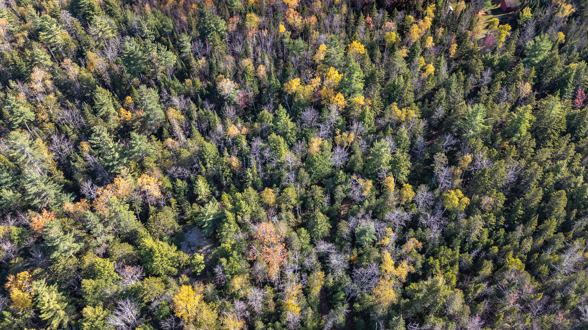 1698 Worcester Highway Kingsbury Plt ME 04942