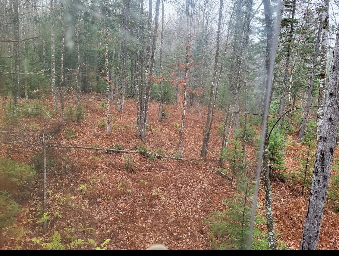 1698 Worcester Highway Kingsbury Plt ME 04942