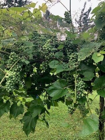 4 Abbi Lane Scarborough ME 04074