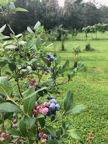 4 Abbi Lane Scarborough ME 04074