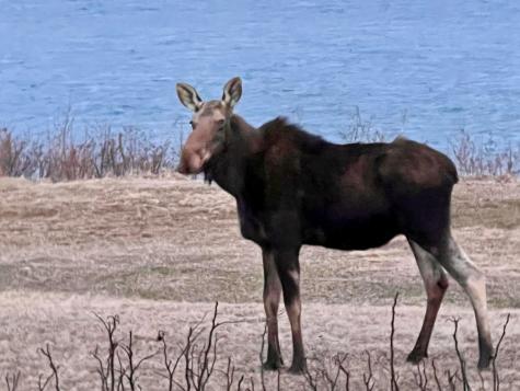 20 Easy Street Lubec ME 04652