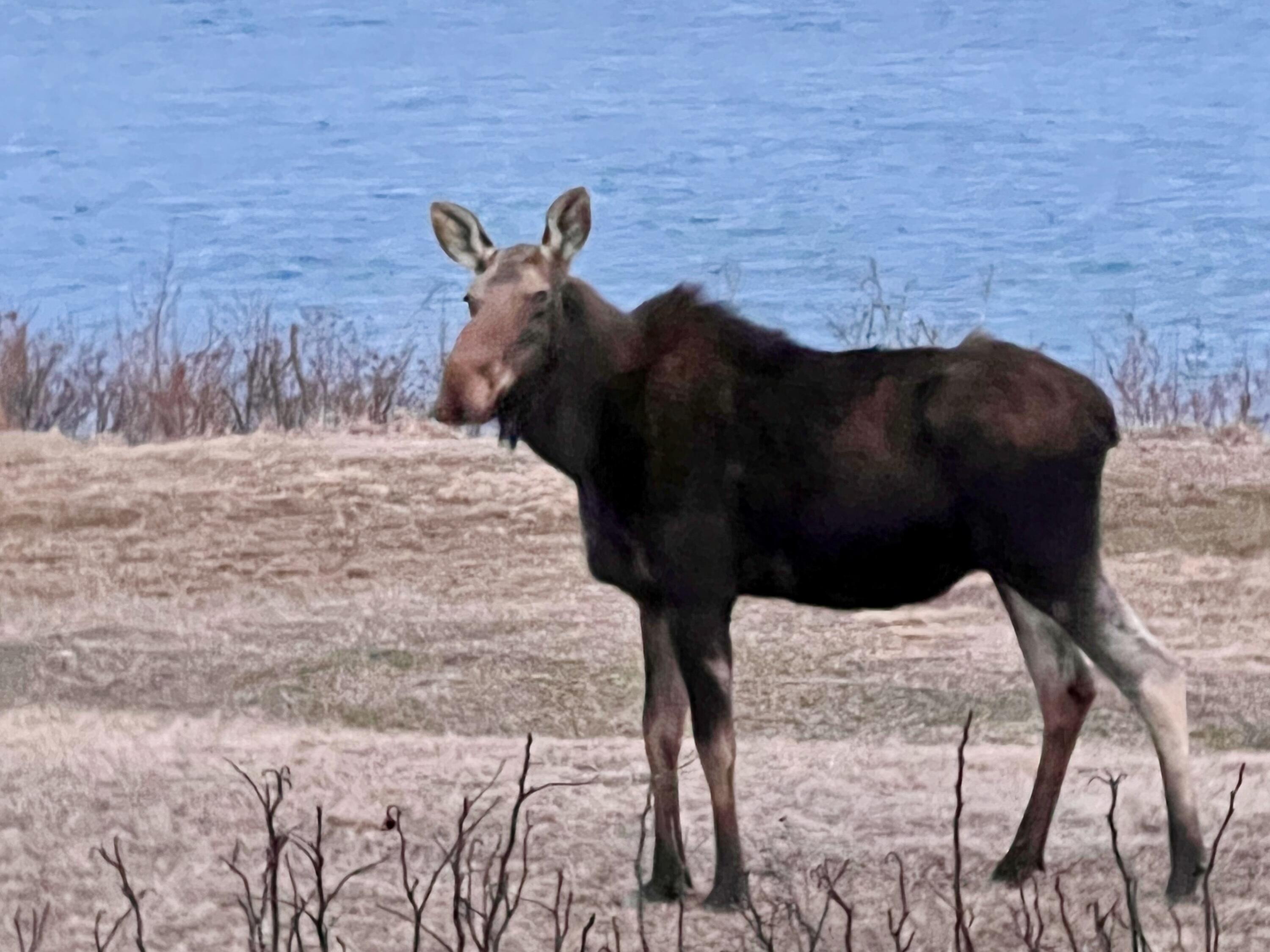 20 Easy Street Lubec ME 04652