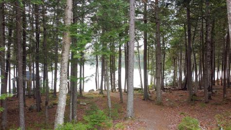 24 Deer Point Road W Robbinston ME 04671