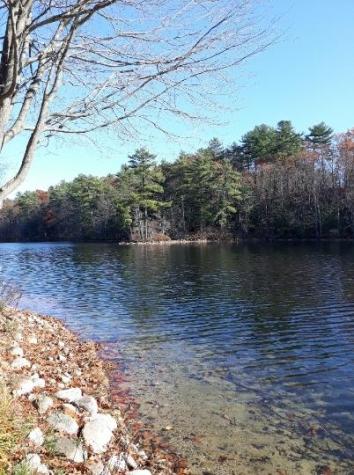 42 Emerson Drive Windham ME 04062