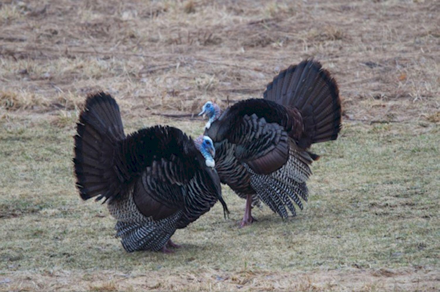 140 Stickney Hill Road Athens ME 04912