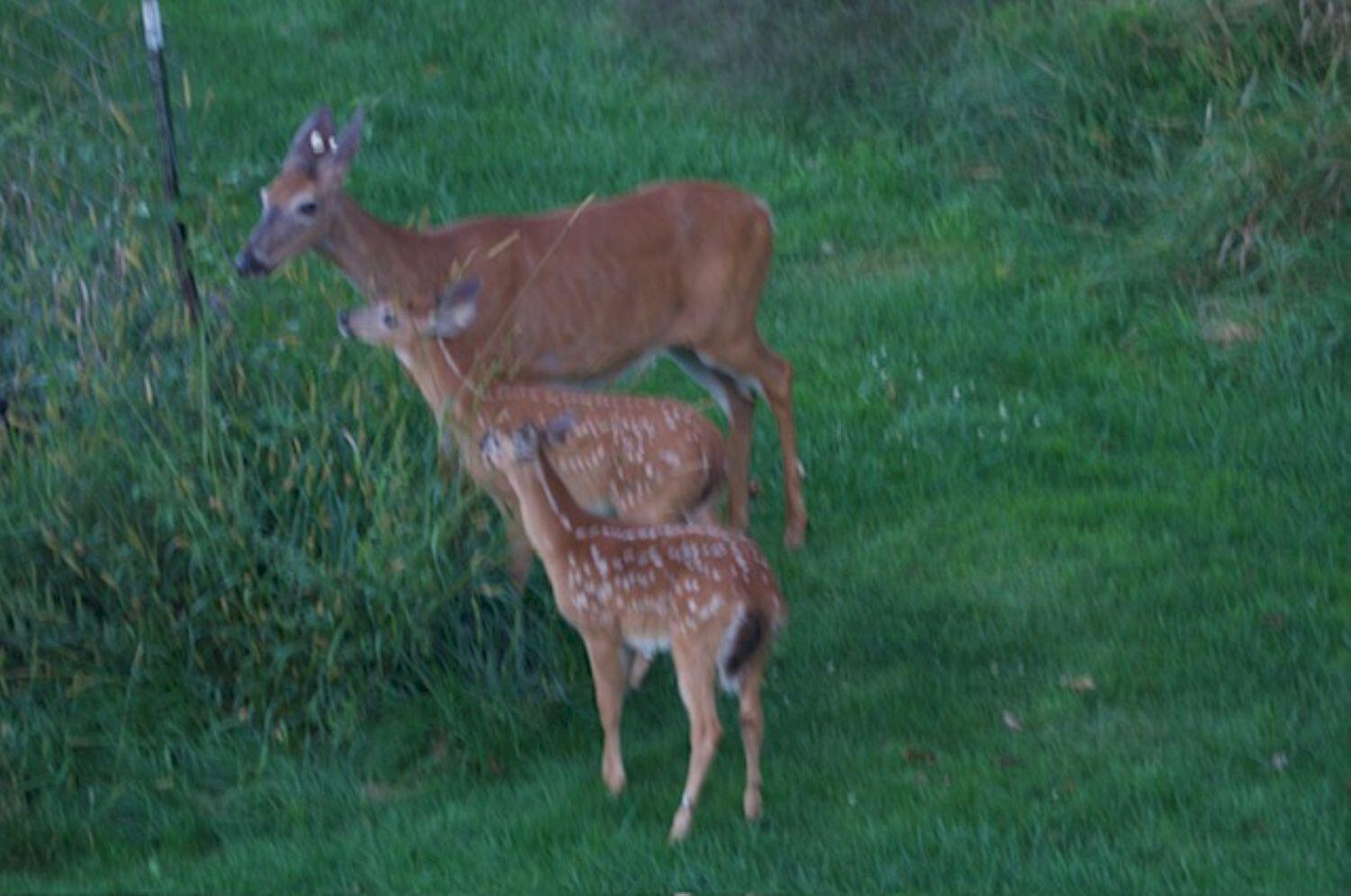 140 Stickney Hill Road Athens ME 04912