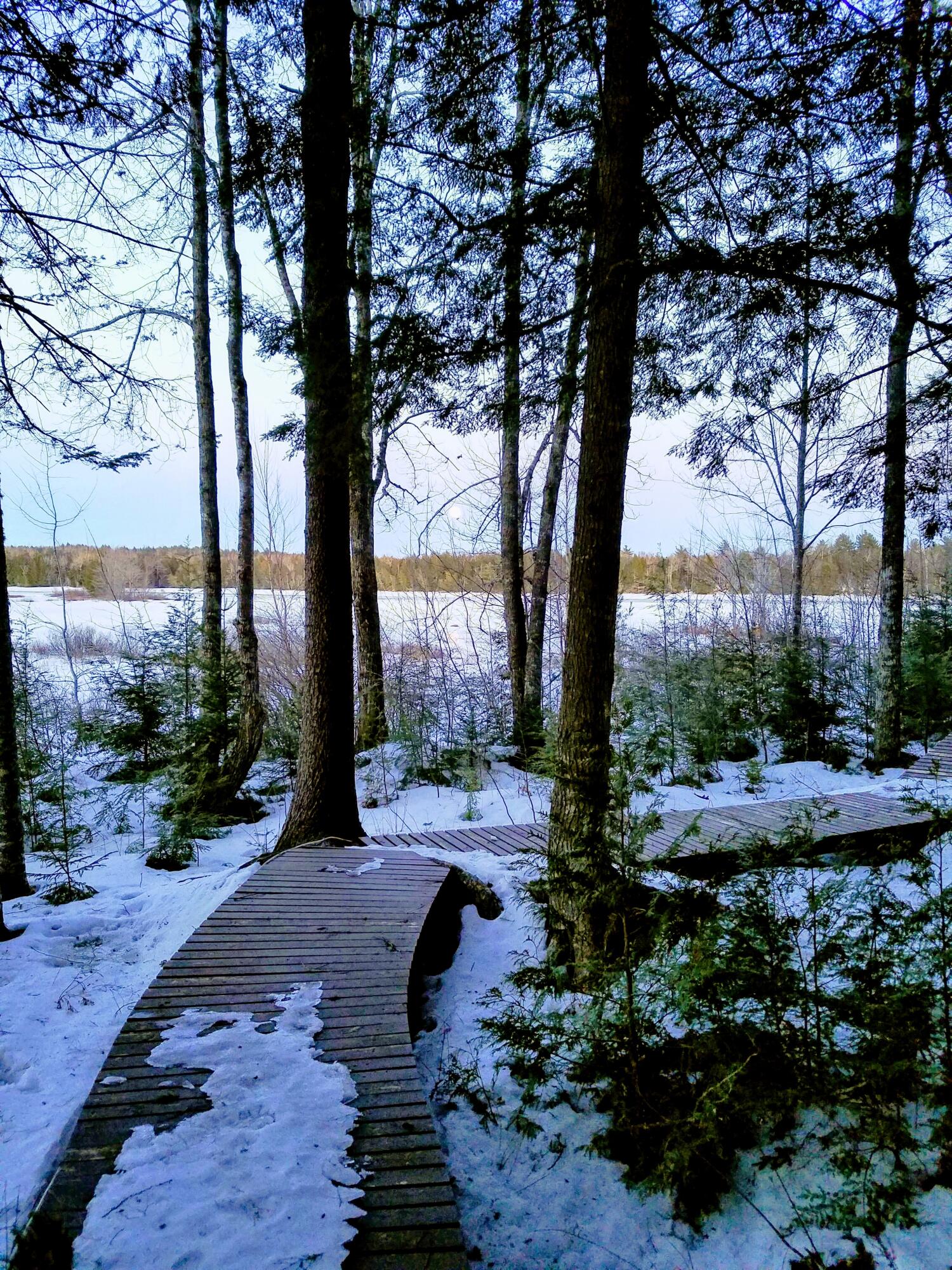 95 Silsby Road Mariaville ME 04605