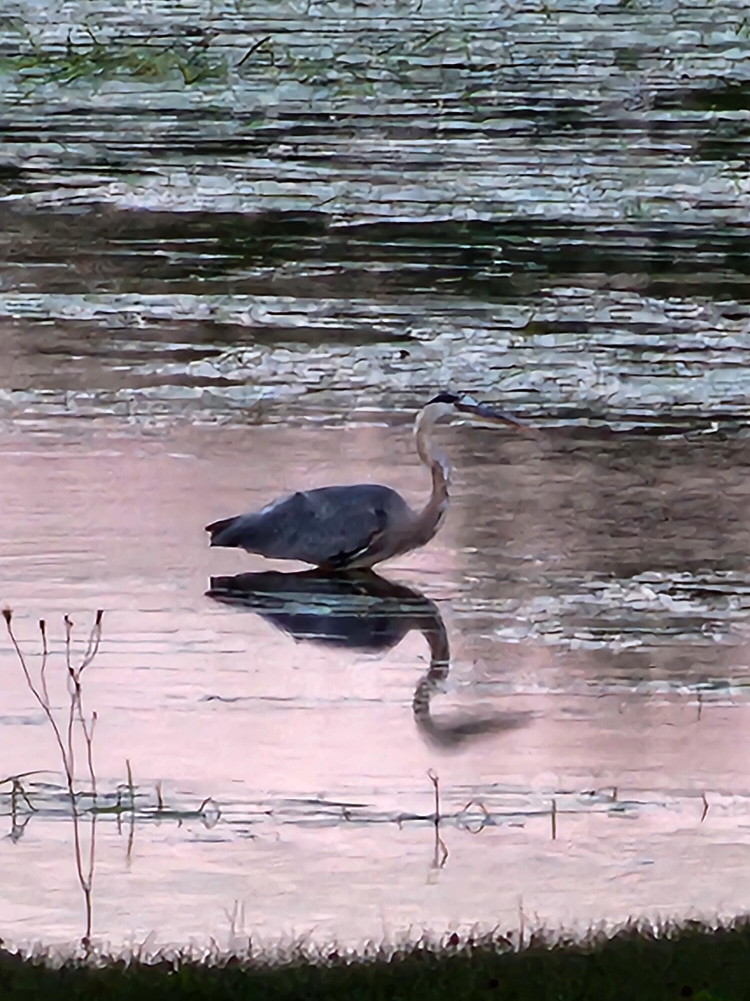 95 Silsby Road Mariaville ME 04605