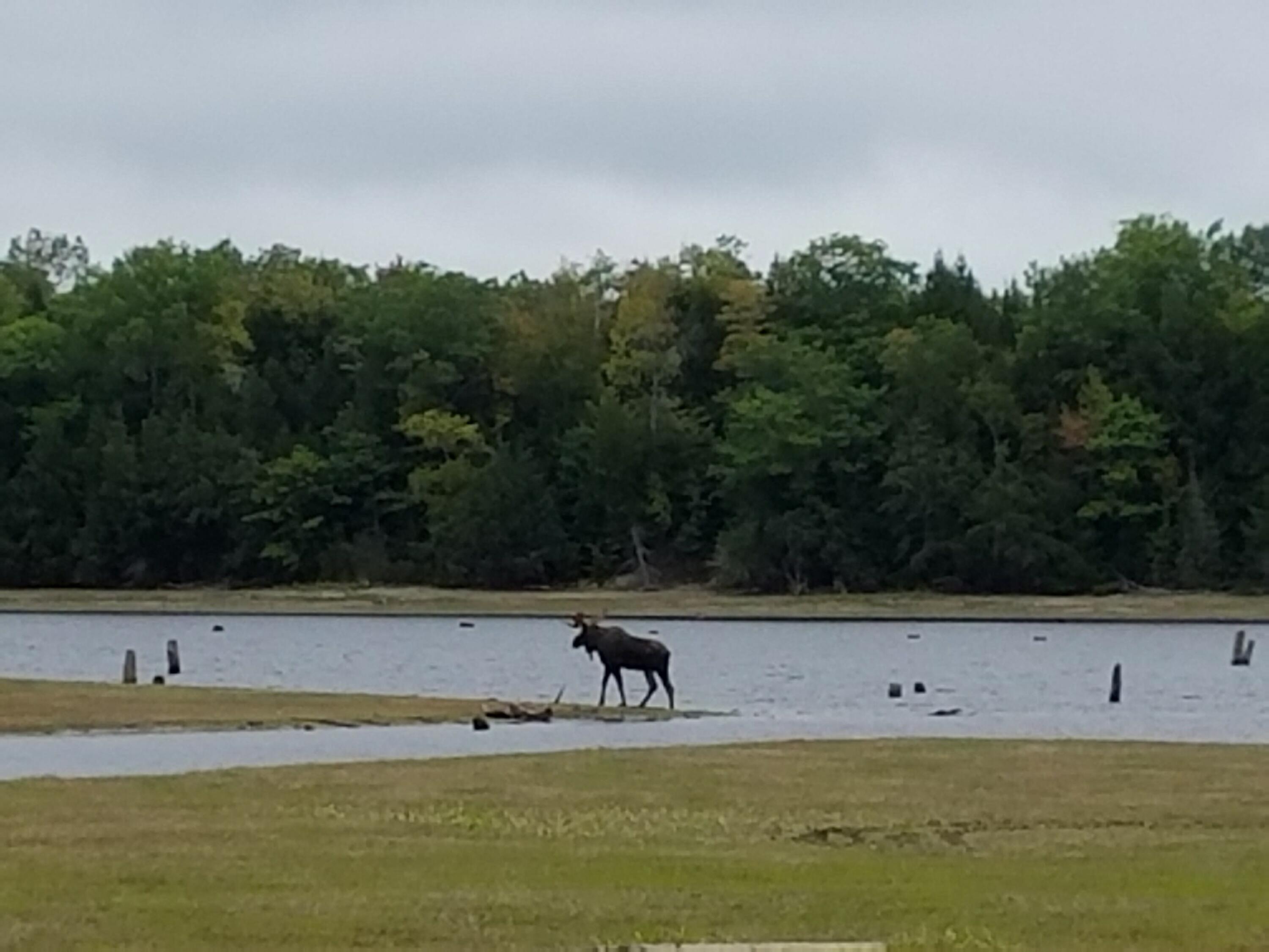 95 Silsby Road Mariaville ME 04605