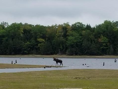 95 Silsby Road Mariaville ME 04605