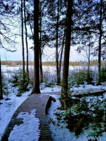 95 Silsby Road Mariaville ME 04605