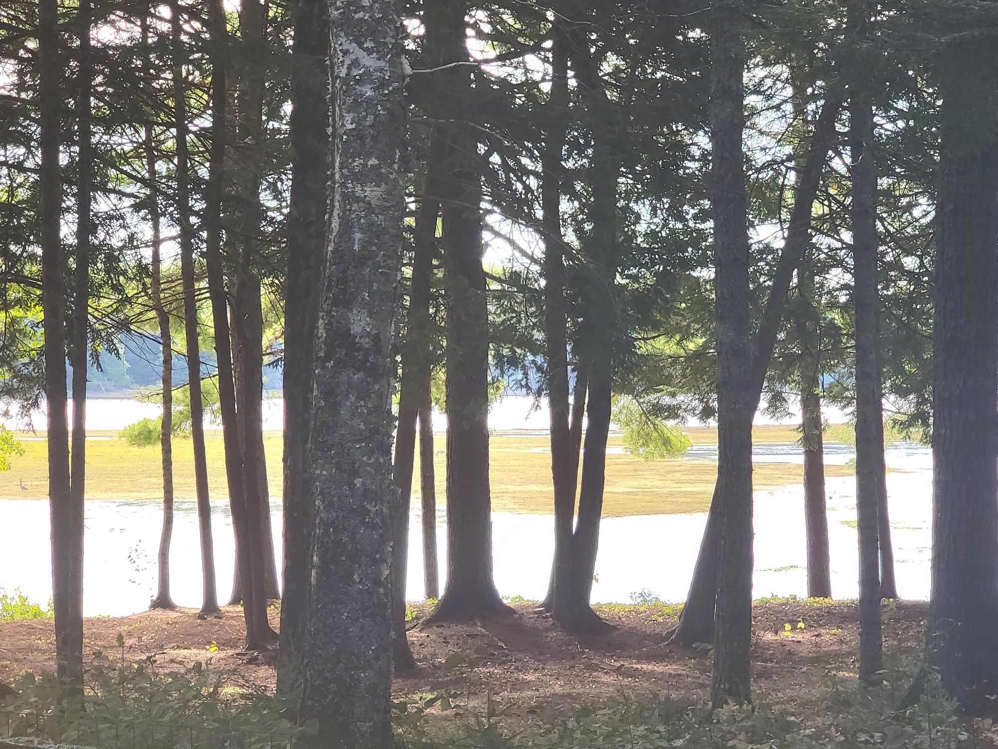 95 Silsby Road Mariaville ME 04605