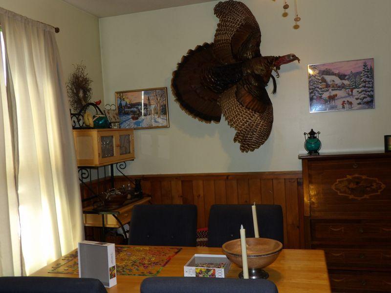 46 Murray Street Bingham ME 04920
