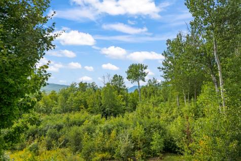 000 Green Acres Road Carthage ME 04224