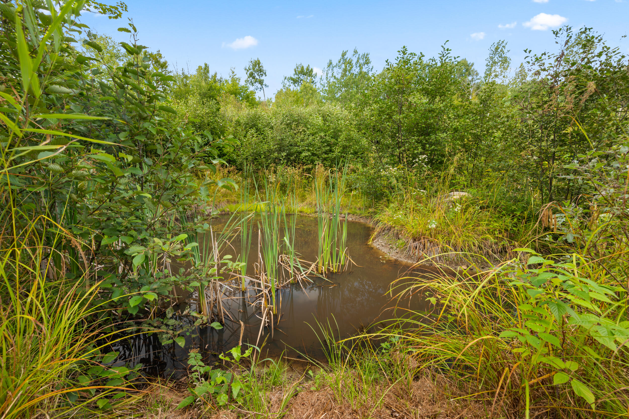 000 Green Acres Road Carthage ME 04224