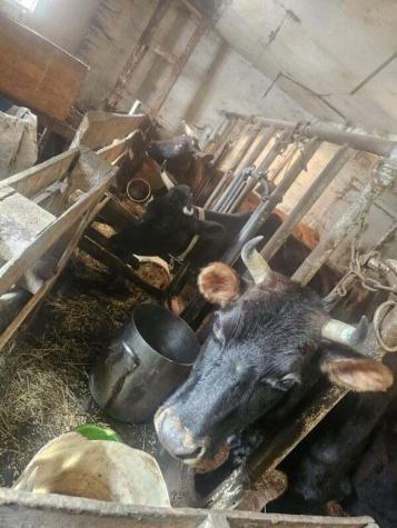 75 Doucette Road Grand Isle ME 04746