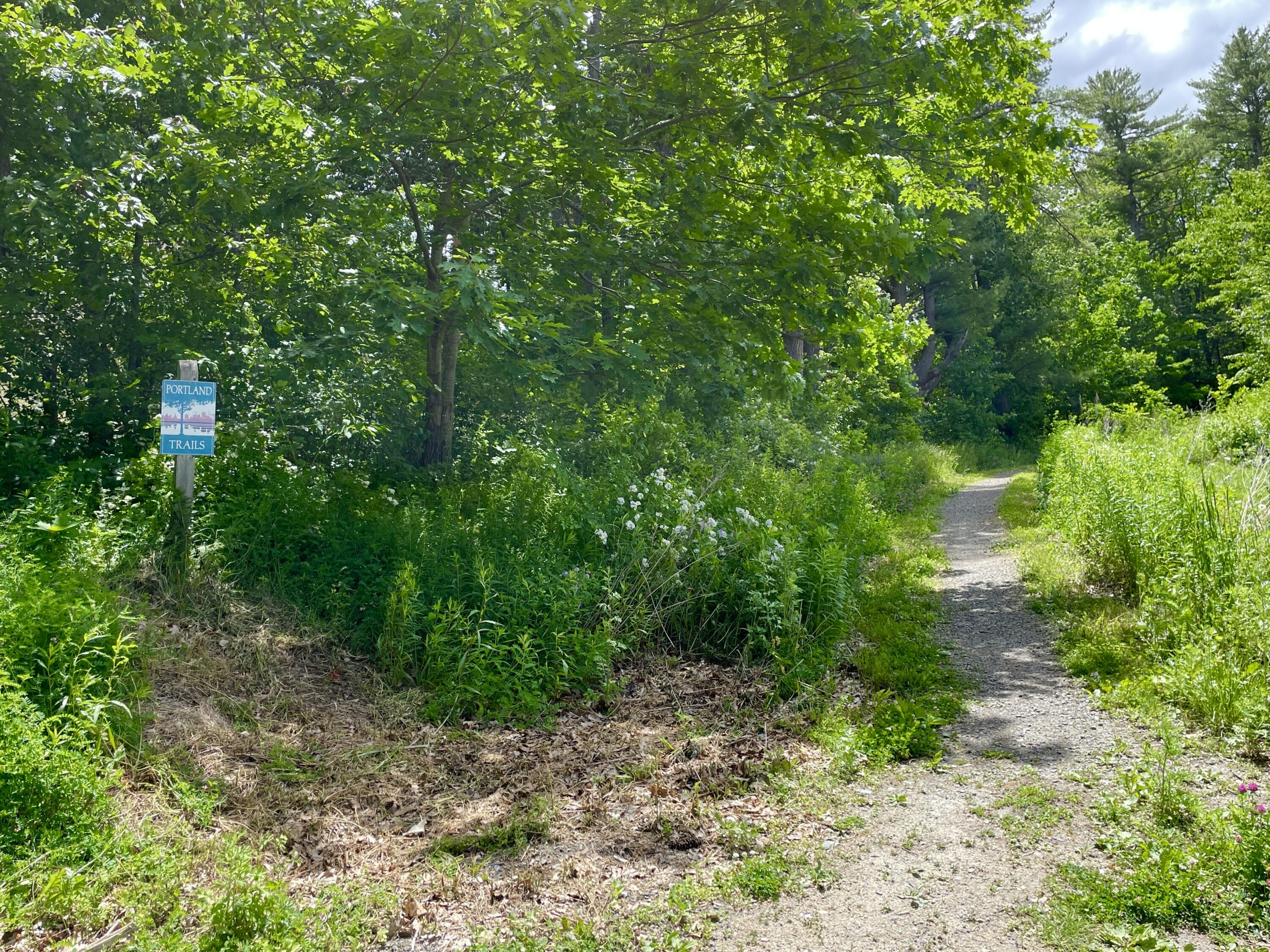40 Dale Avenue Westbrook ME 04092