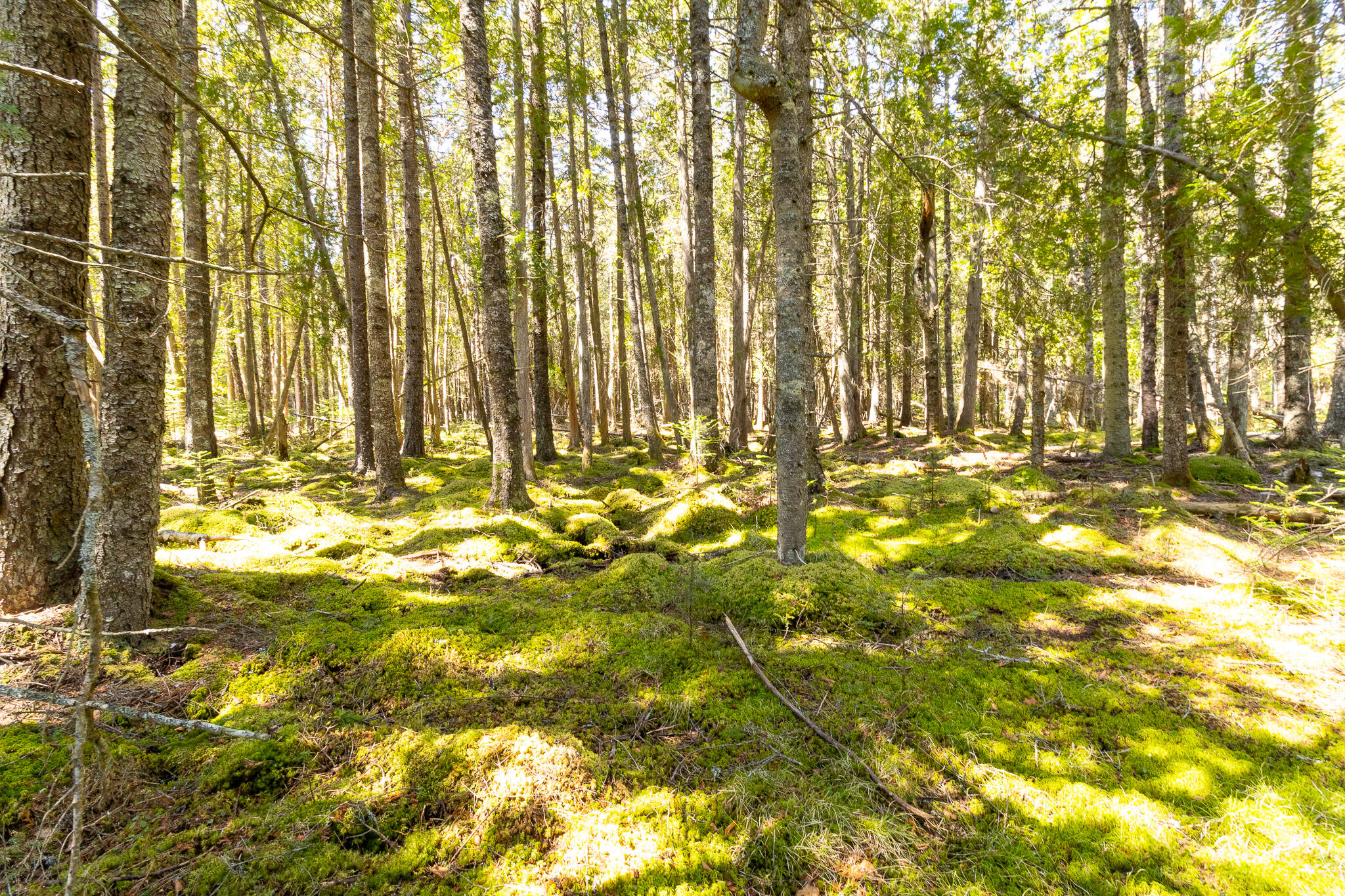 2 Eastern Shores Road Beals ME 04611