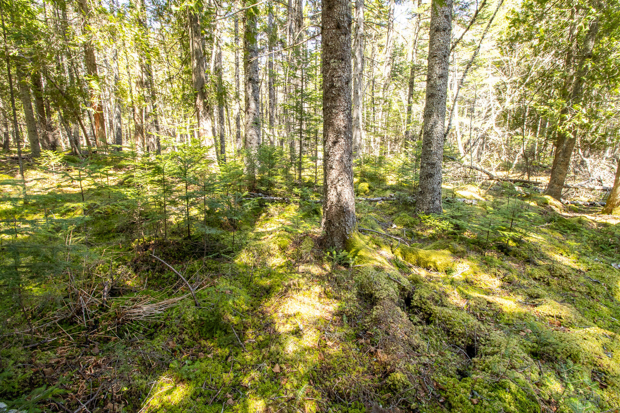 2 Eastern Shores Road Beals ME 04611