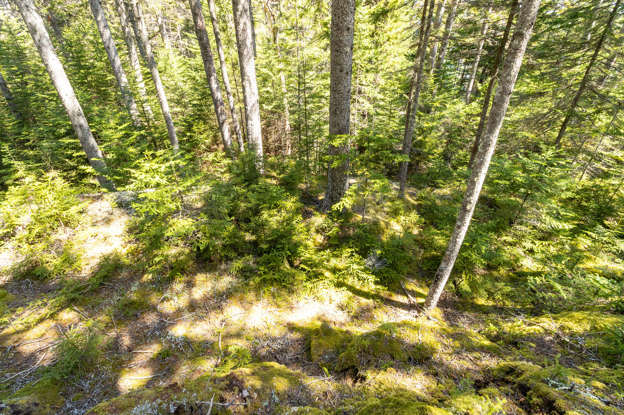 2 Eastern Shores Road Beals ME 04611