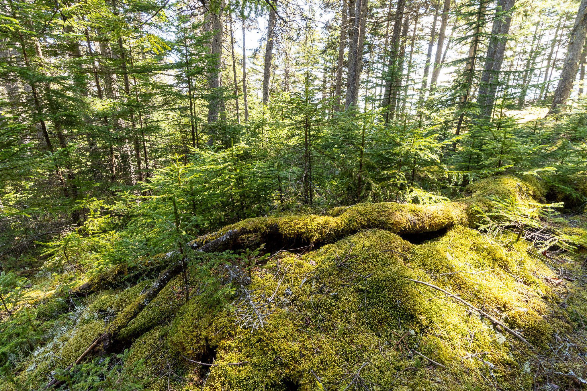 2 Eastern Shores Road Beals ME 04611