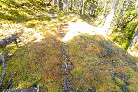 2 Eastern Shores Road Beals ME 04611