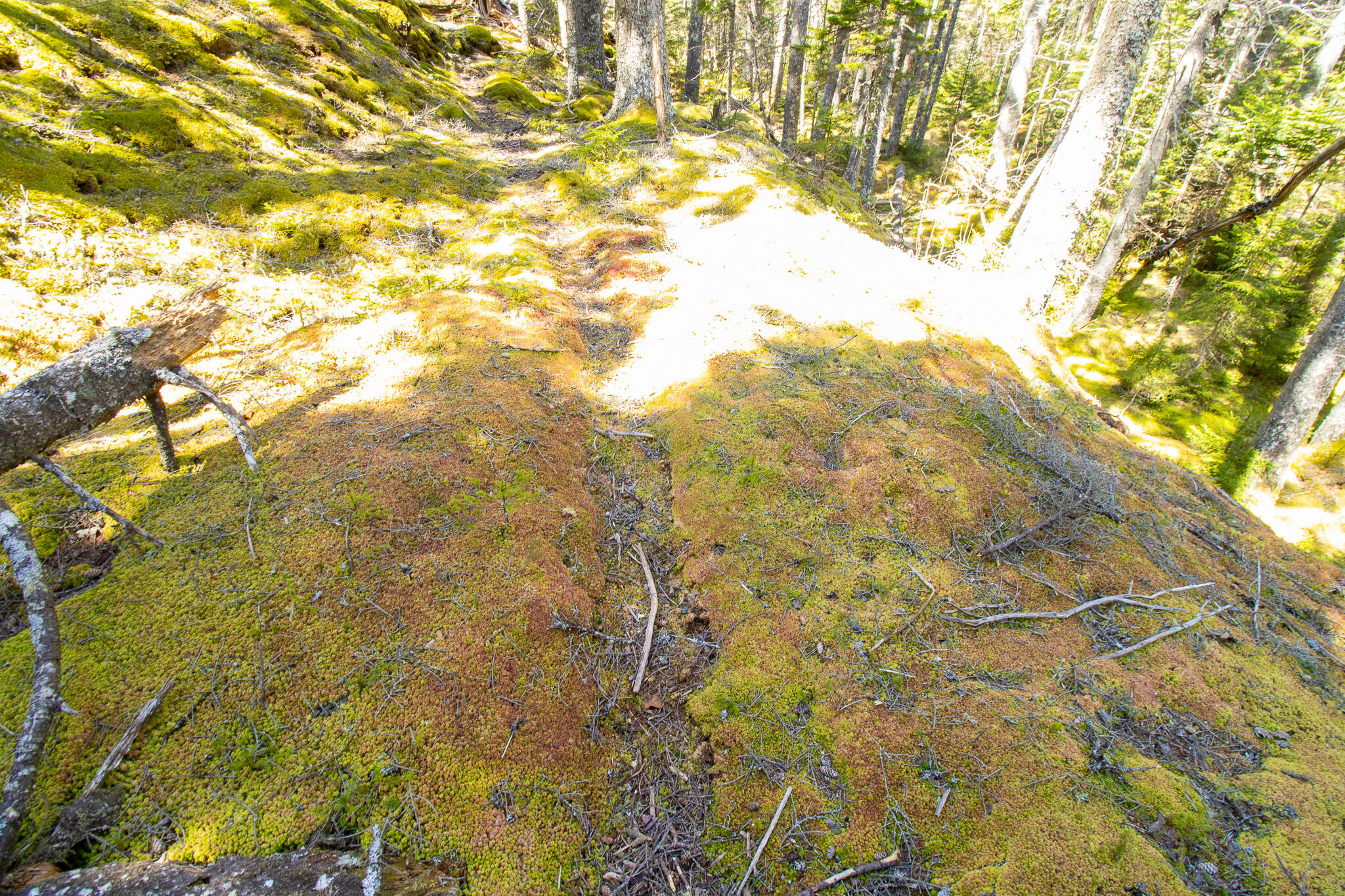 2 Eastern Shores Road Beals ME 04611