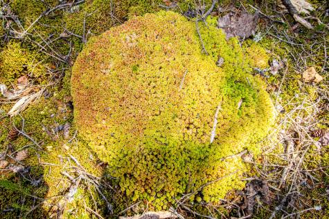 2 Eastern Shores Road Beals ME 04611