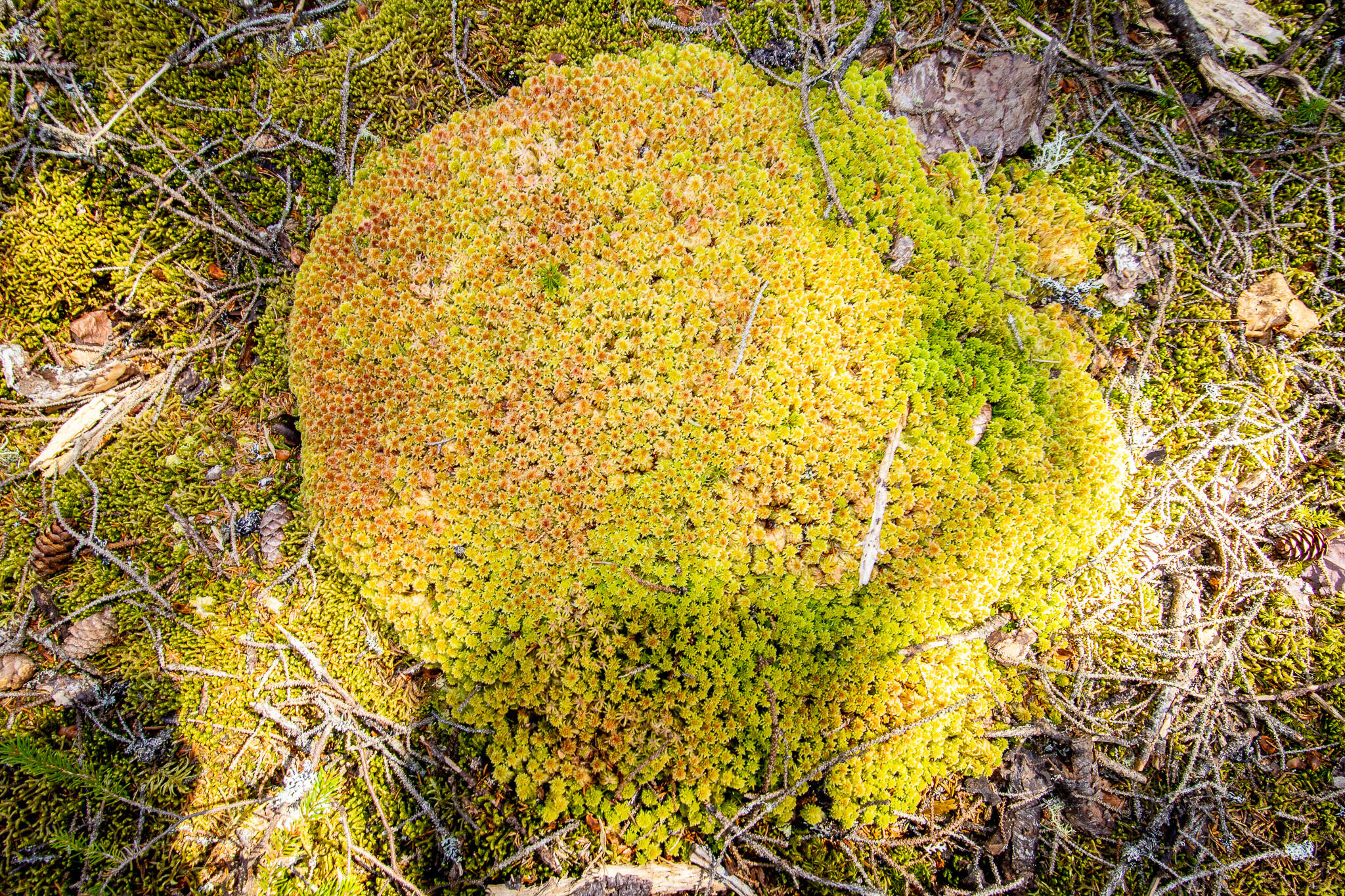 2 Eastern Shores Road Beals ME 04611