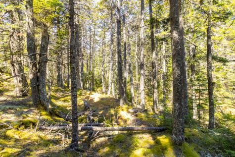 2 Eastern Shores Road Beals ME 04611