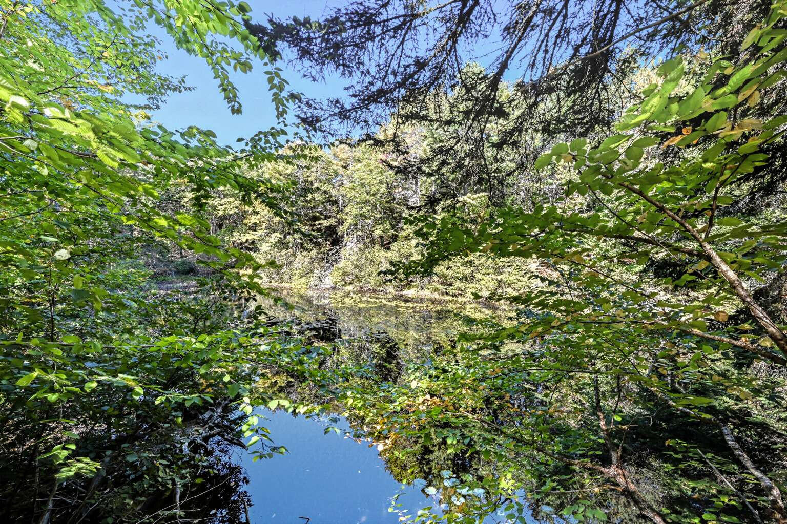 33 Reed Road Boothbay Harbor ME 04538