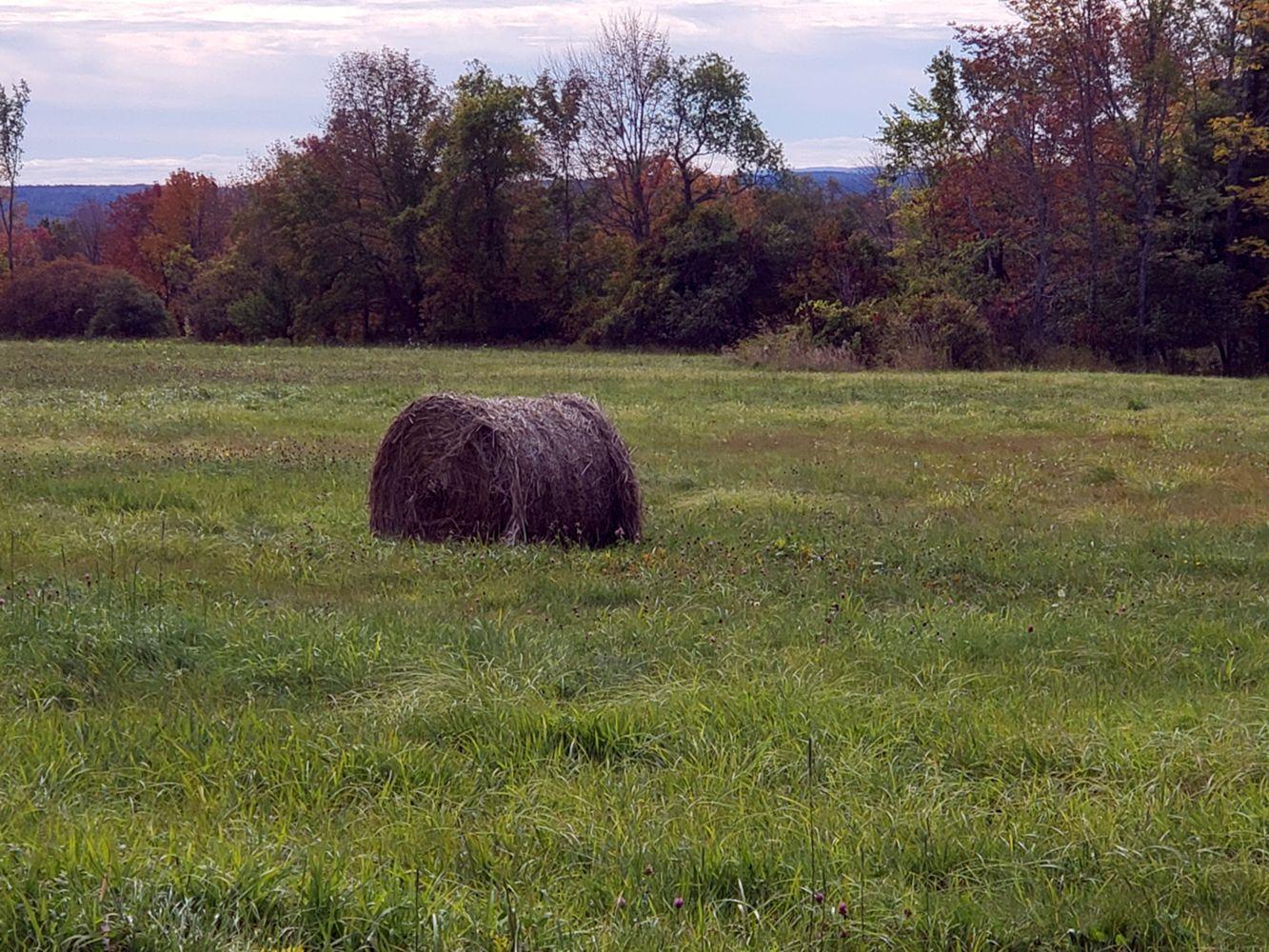 262 Chapman Ridge Road Athens ME 04912