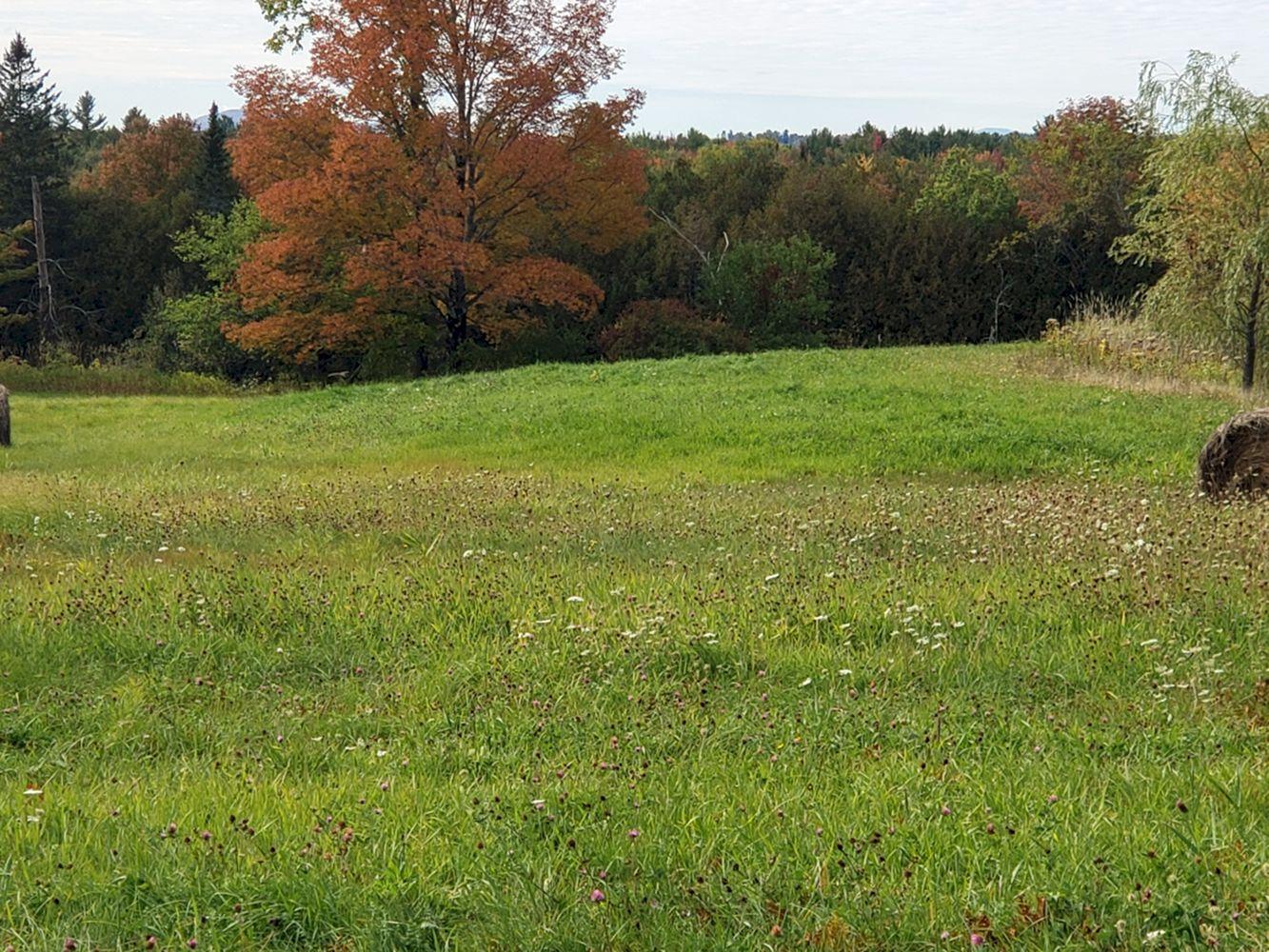 262 Chapman Ridge Road Athens ME 04912