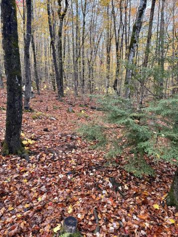 249 West Shore Road Skowhegan ME 04976