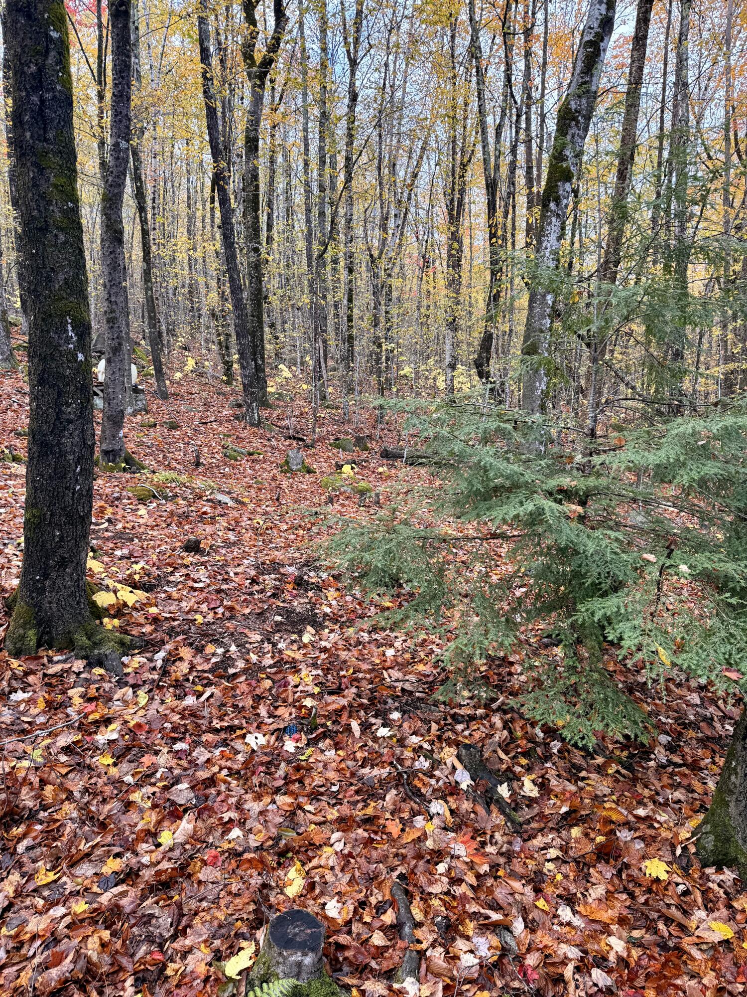 249 West Shore Road Skowhegan ME 04976