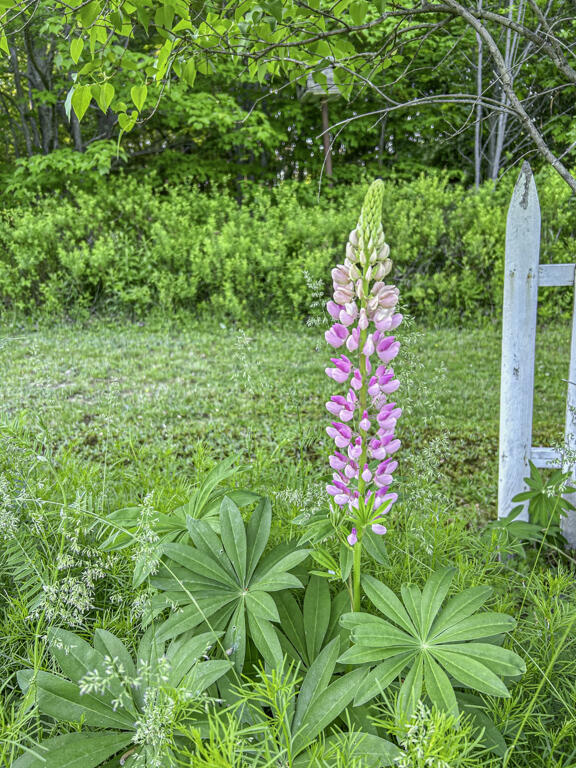 1568 Essex Street Bangor ME 04401