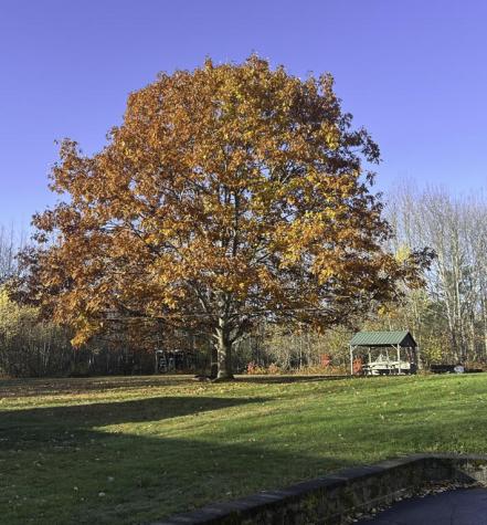 1568 Essex Street Bangor ME 04401