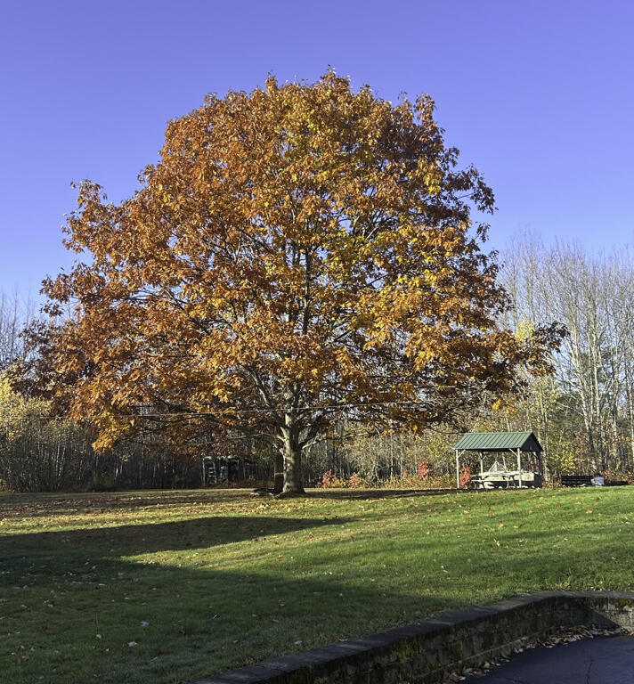 1568 Essex Street Bangor ME 04401