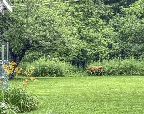 1568 Essex Street Bangor ME 04401