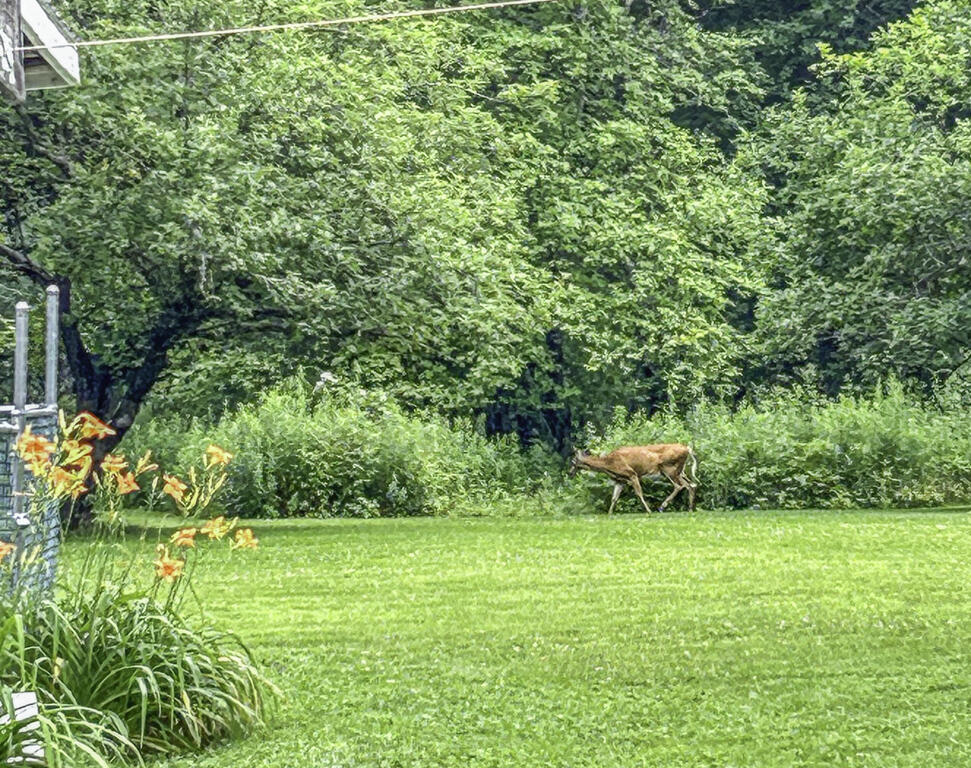 1568 Essex Street Bangor ME 04401